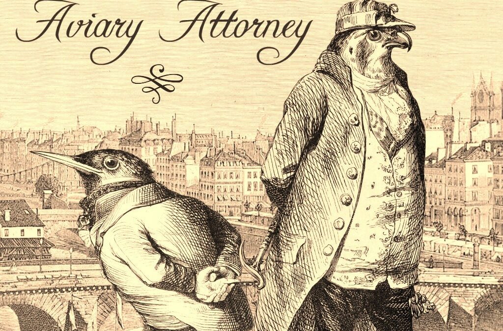 Aviary Attorney