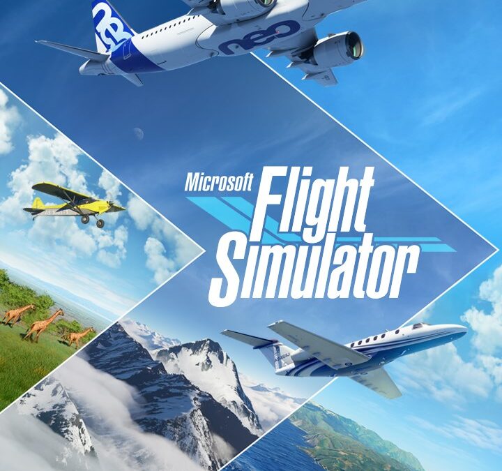 Microsoft Flight Simulator