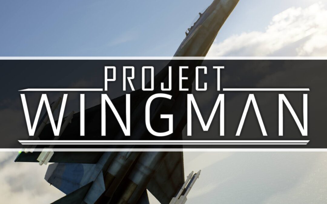 Project Wingman